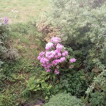 Ferienwohnung Schmallenberg Appartement *