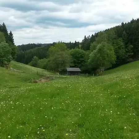Ferienwohnung Schmallenberg Schmallenberg