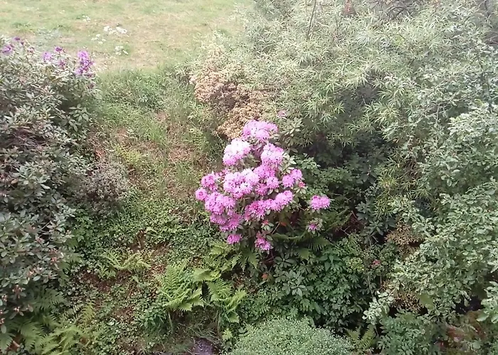 Ferienwohnung Schmallenberg Appartement *