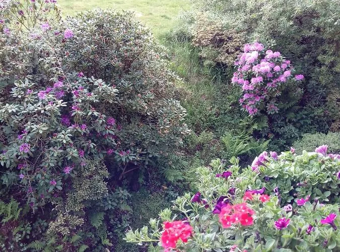 Ferienwohnung Schmallenberg Appartamento Schmallenberg