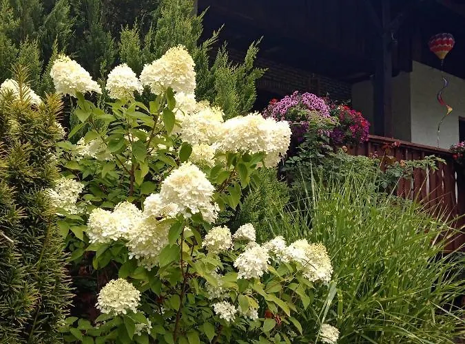 Ferienwohnung Schmallenberg * Schmallenberg