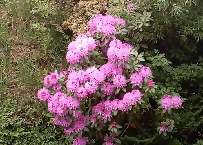 Appartement Ferienwohnung Schmallenberg Schmallenberg