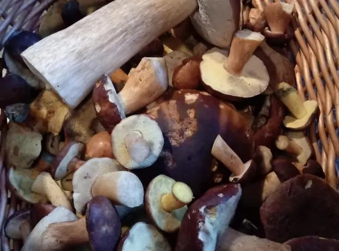 Ferienwohnung Schmallenberg Appartement